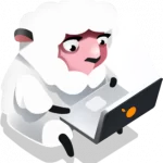 sheep sheep